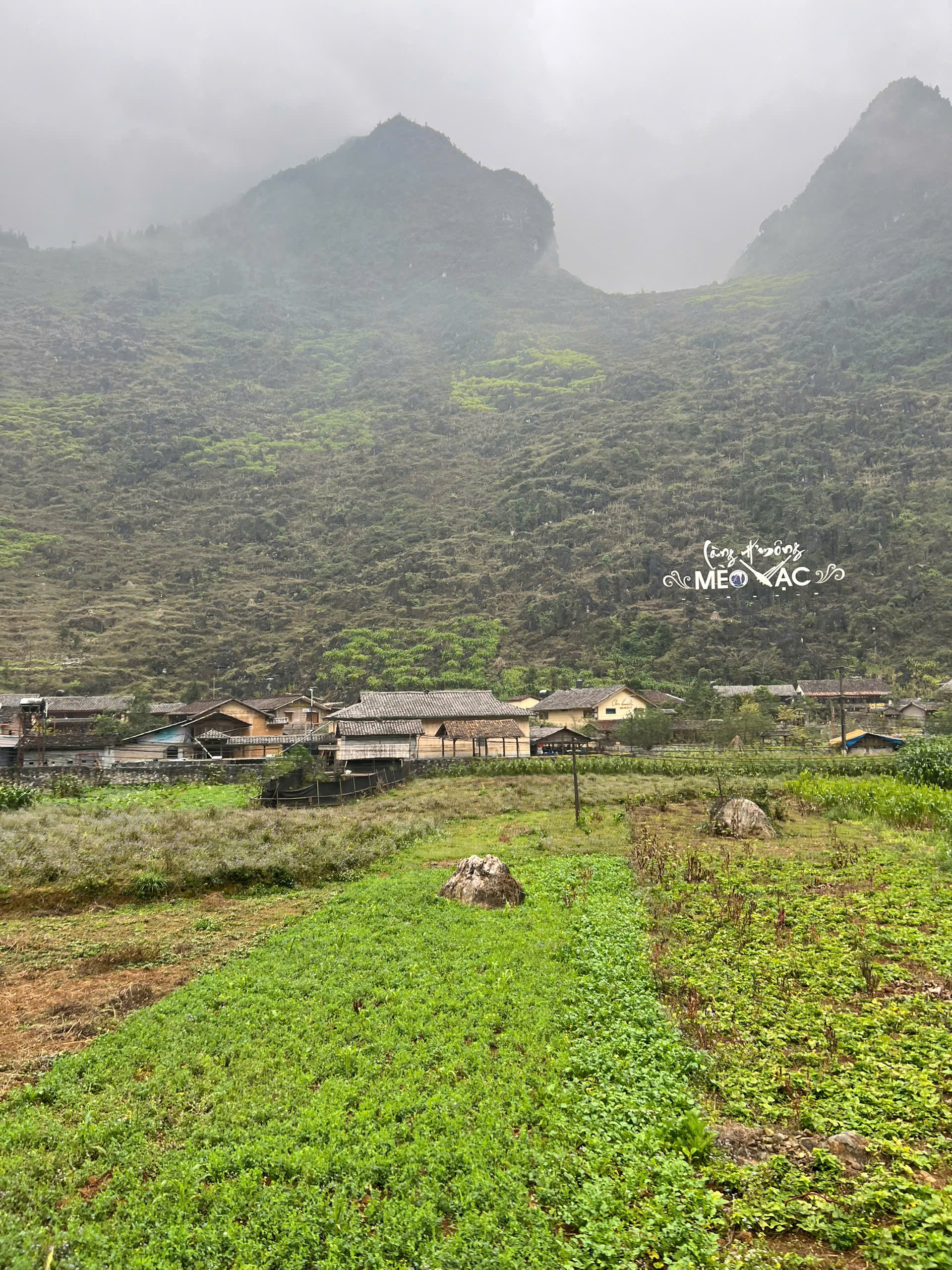 HCMC to Hanoi — Full Vietnam Ride — photo 10
